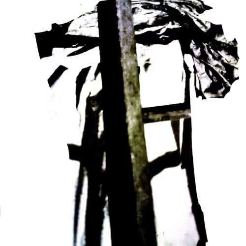 Hider # 272