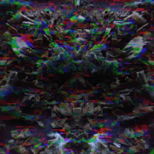 Mind Trip #273